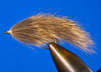 Pine Squirrel Leech