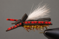 Black Foam Cicada