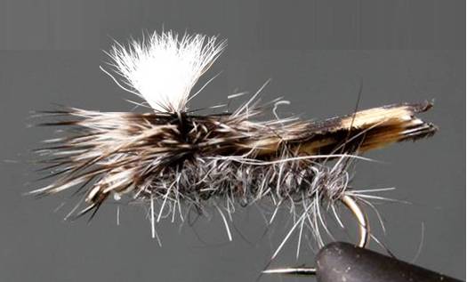 Parachute Caddis