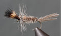 Callibaetis Cripple