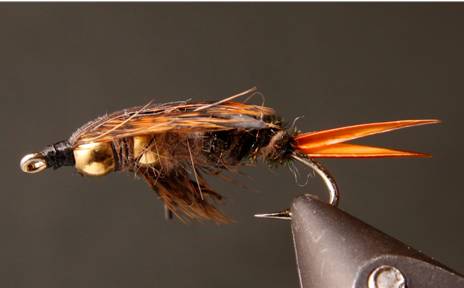 Double Bead - Stonefly Nymphs