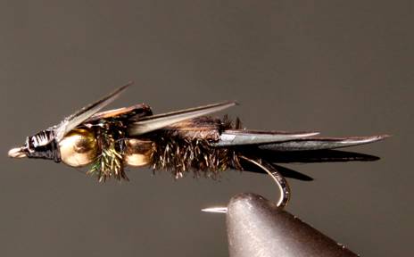 DB Peacock Stonefly Nymphs