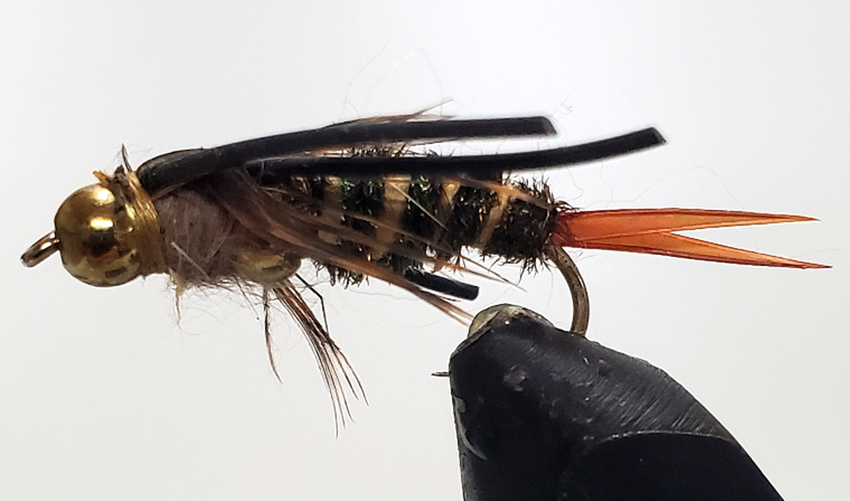 Double Bead - Stonefly Nymphs