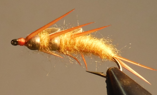 Double Bead - Stonefly Nymphs