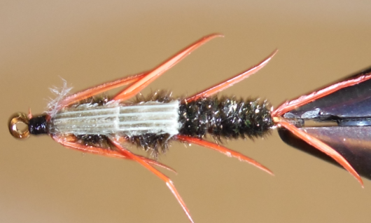 Double Bead - Stonefly Nymphs