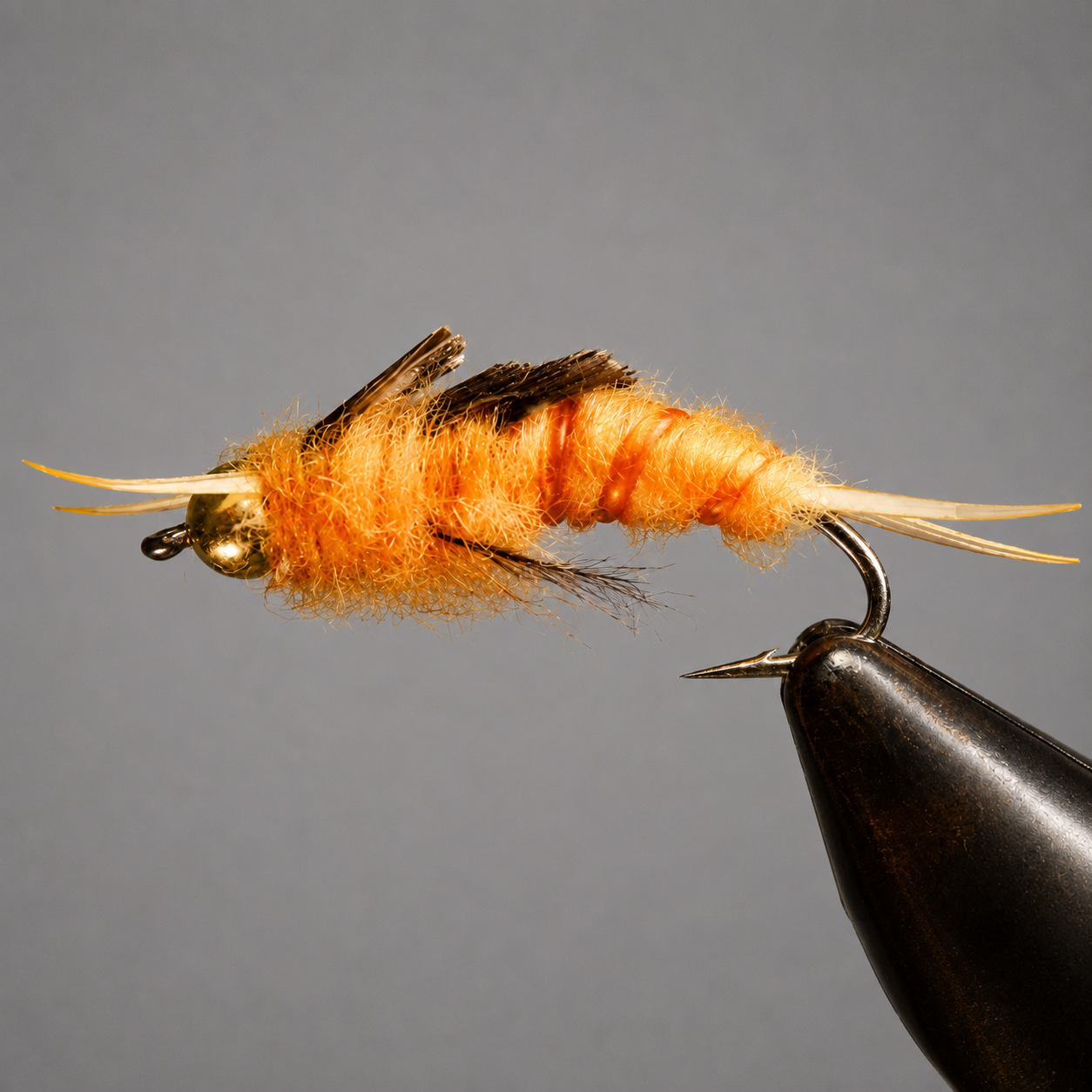 BH Stonefly Nymphs