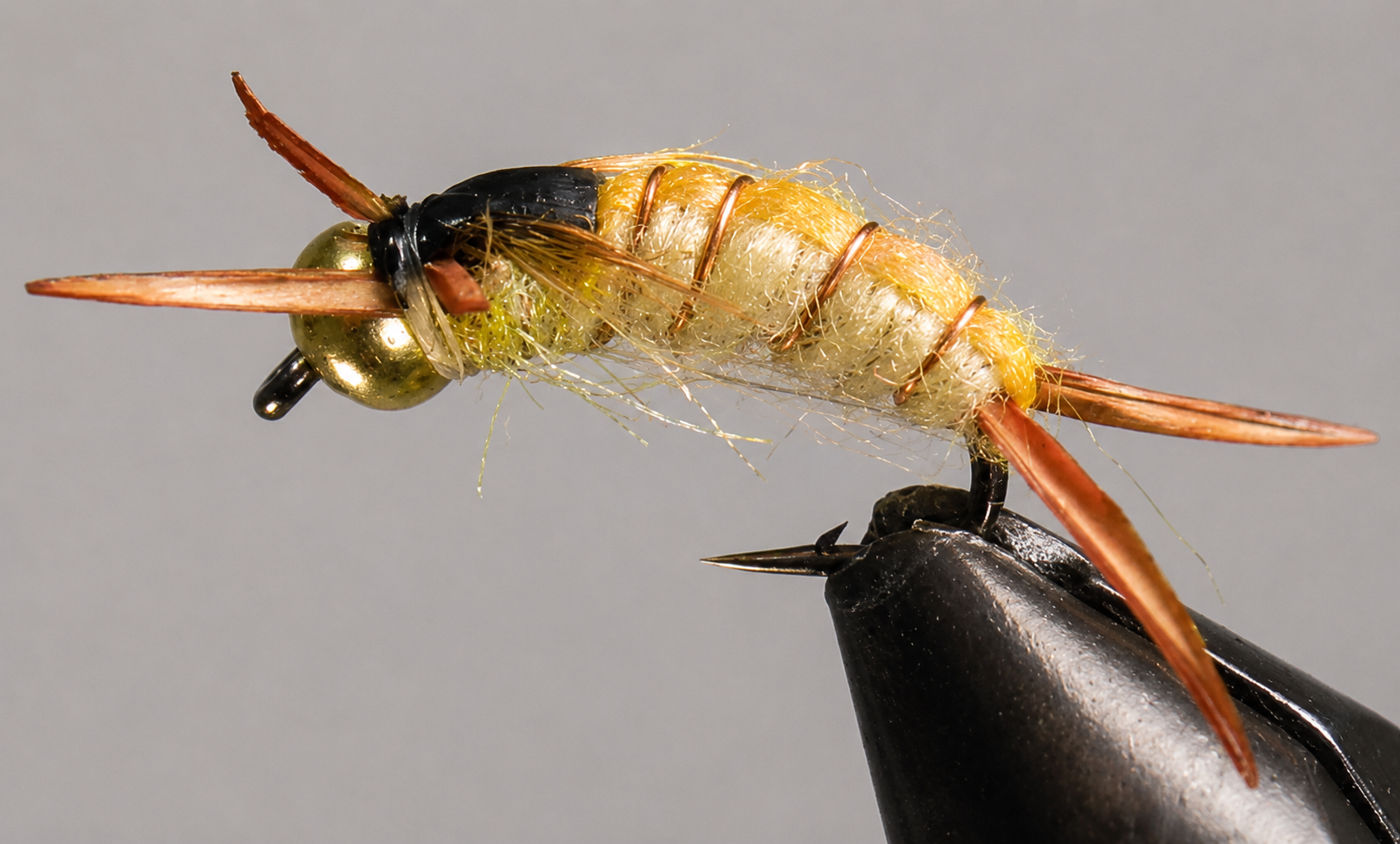 BH Golden Sparkle Stone Fly | Golden Stone Nymph Pattern