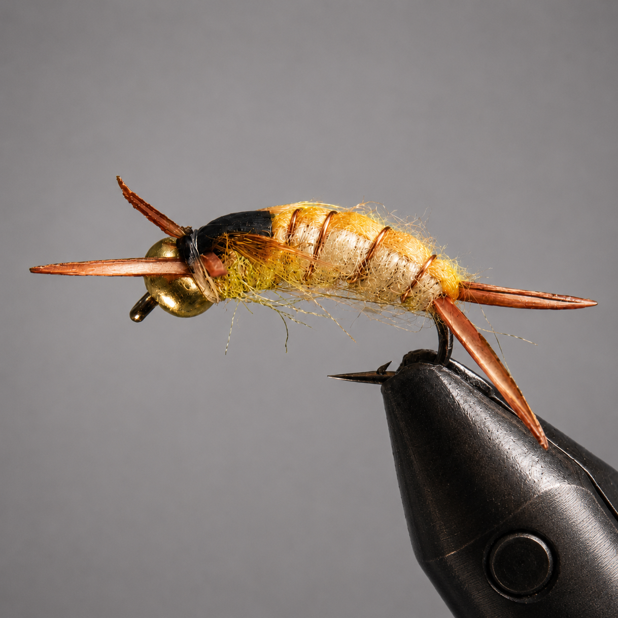 BH Stonefly Nymphs