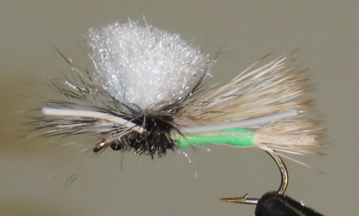 Grasshoppers – Stone Creek Outfitters