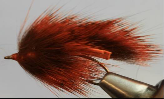 Pine Squirrel Leech - 4 Colors