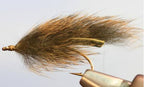 Pine Squirrel Leech