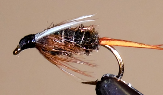 Prince Nymph - BH and Standard