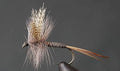 Red Quill