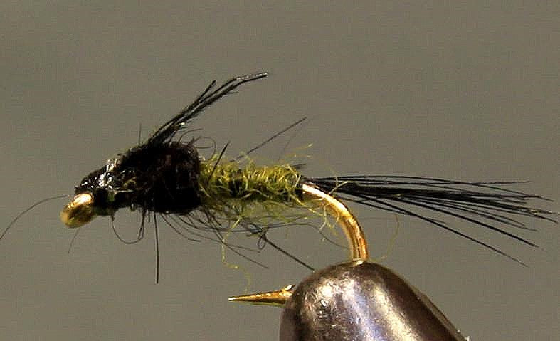 Midge Nymphs – Stone Creek Outfitters