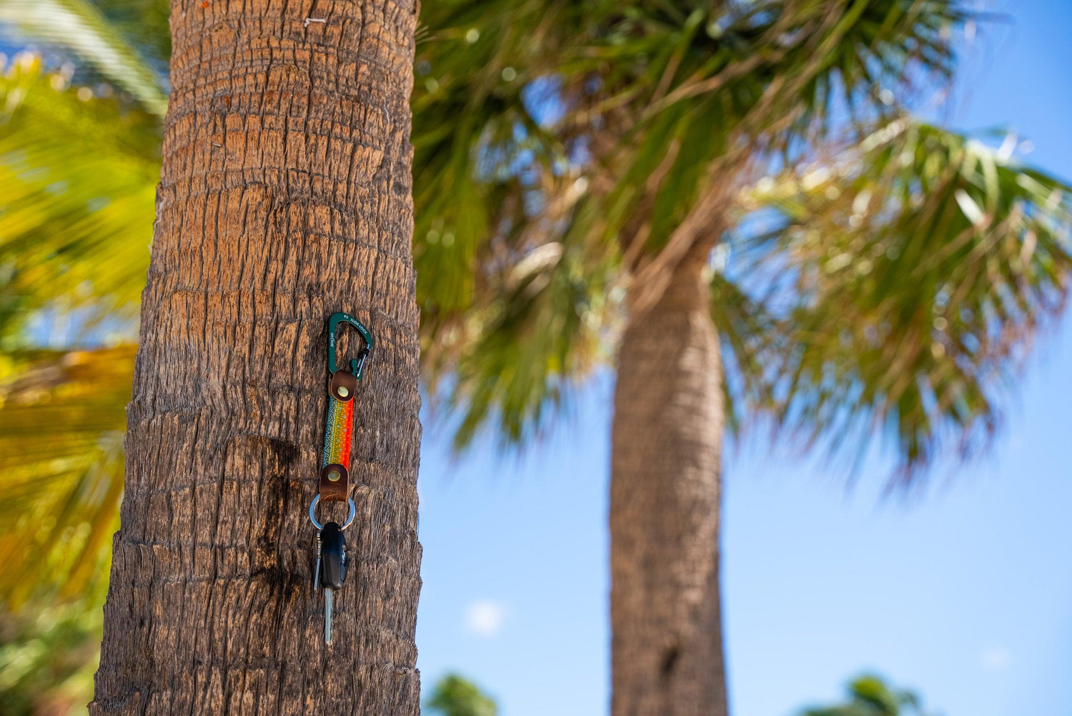 The Fish/Upland Print Whis-Key-Hook