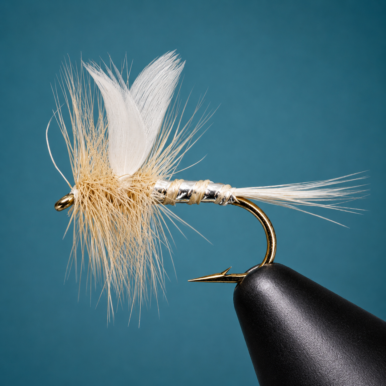 Miller Moth