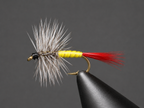 Grey Hackle