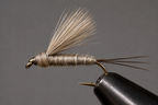 RS2 Emergers