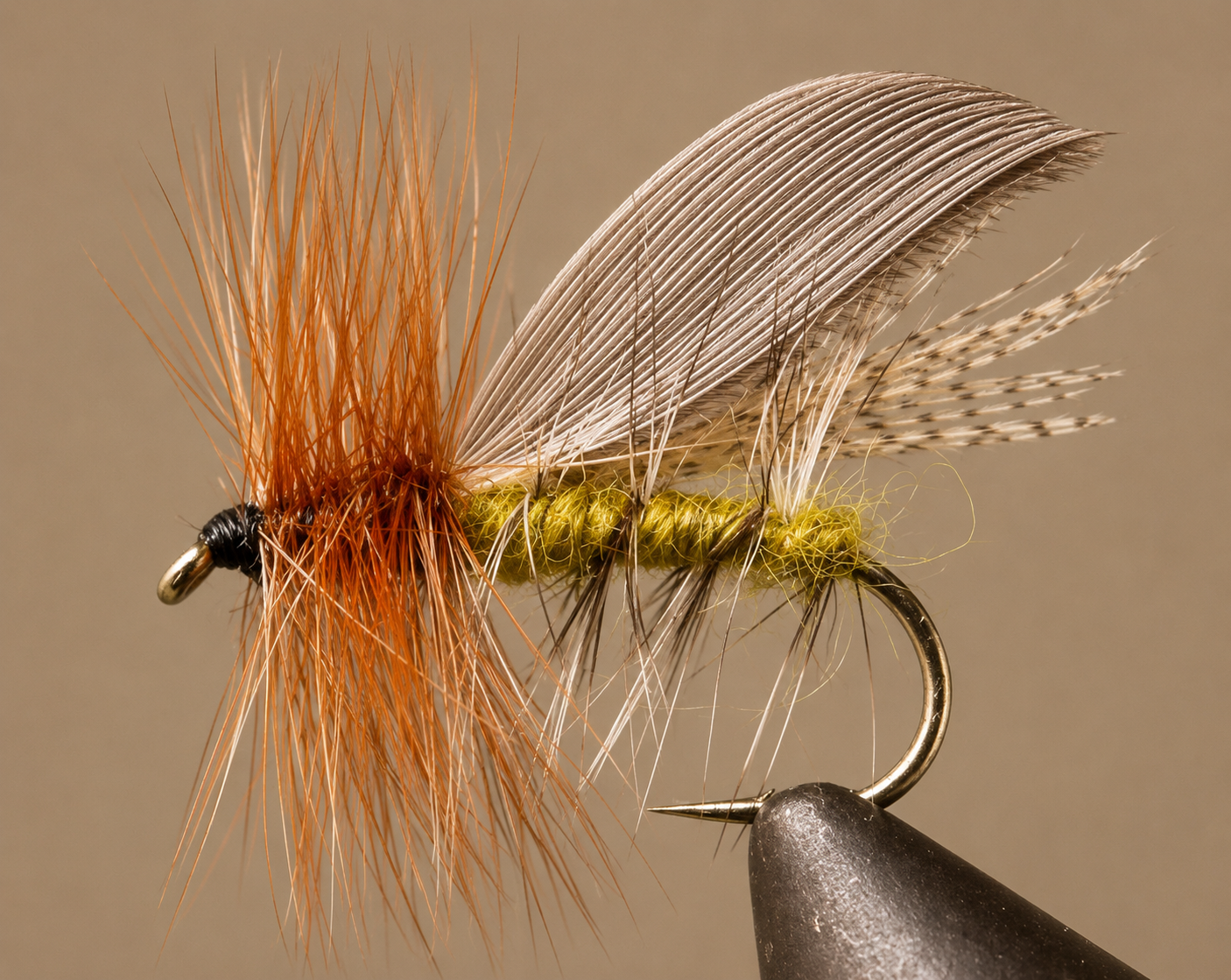 Henryville Caddis