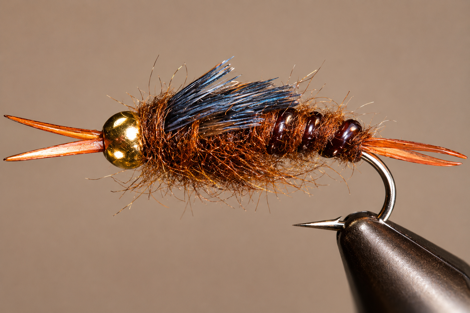 BH Stonefly Nymphs