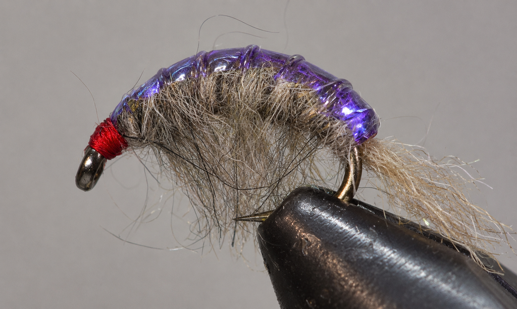 Molting Scuds