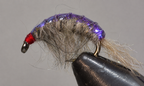 Molting Scuds