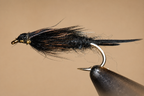 Giant Kauffmann Stonefly Nymphs