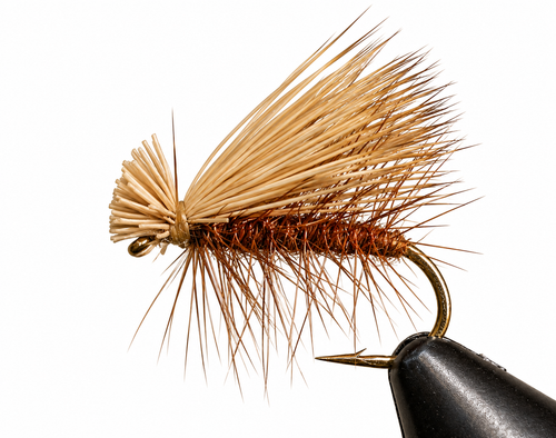 Caddis - Elk Hair
