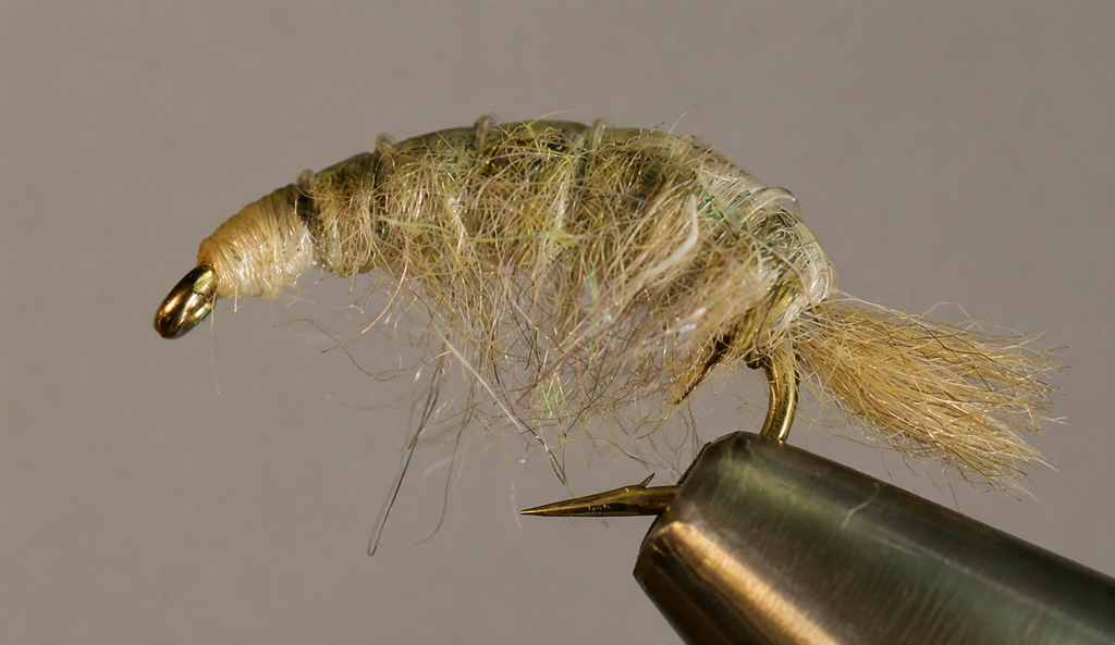Molting Scuds