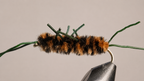 Pat's Rubber Leg Stonefly Nymphs