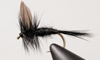 Black Gnat - Black Tail or Red Tail