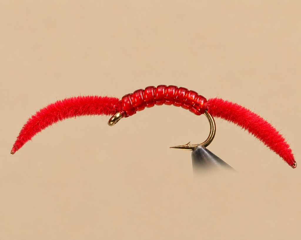 San Juan Worm