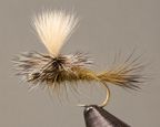 Hare's Ear - Parachute