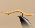 San Juan Worm
