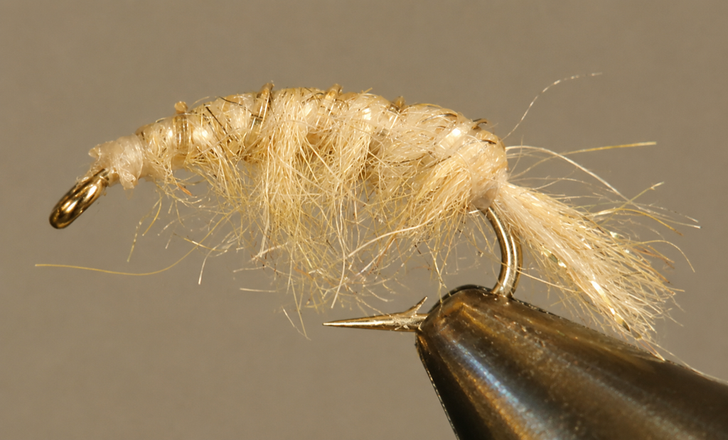Molting Scuds