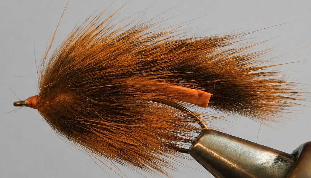 Pine Squirrel Leech
