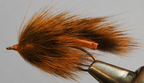Pine Squirrel Leech