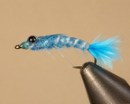 Damselfly Nymphs